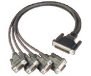 CBL-M44M9x4-50 Split Cable
