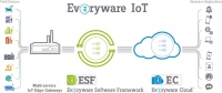 Everyware IoT Solution