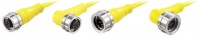M12 D-Coded Utra-Lock Ethernet Cables