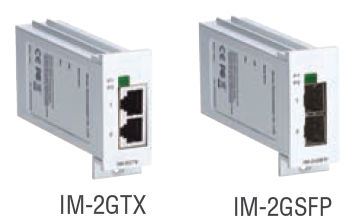 EDS-828 Gigabit Modules: IM-2GTX and IM-2GSFP