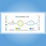 Everyware IoT